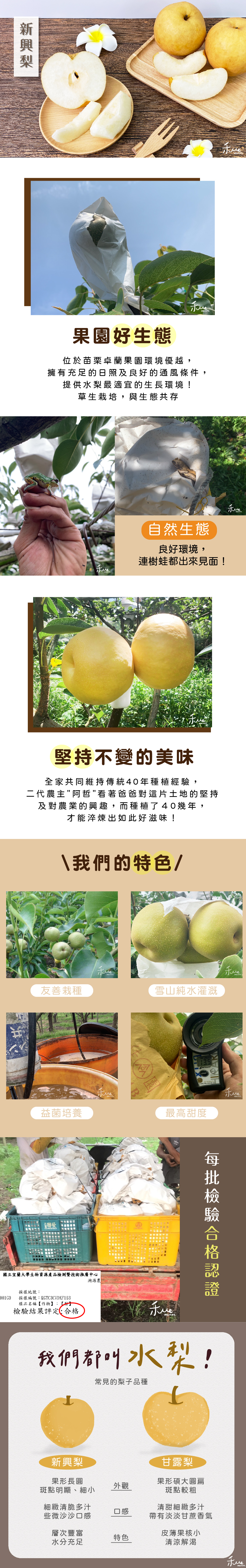 新興梨、梨子,商品,銷售,農場,特色,檢驗