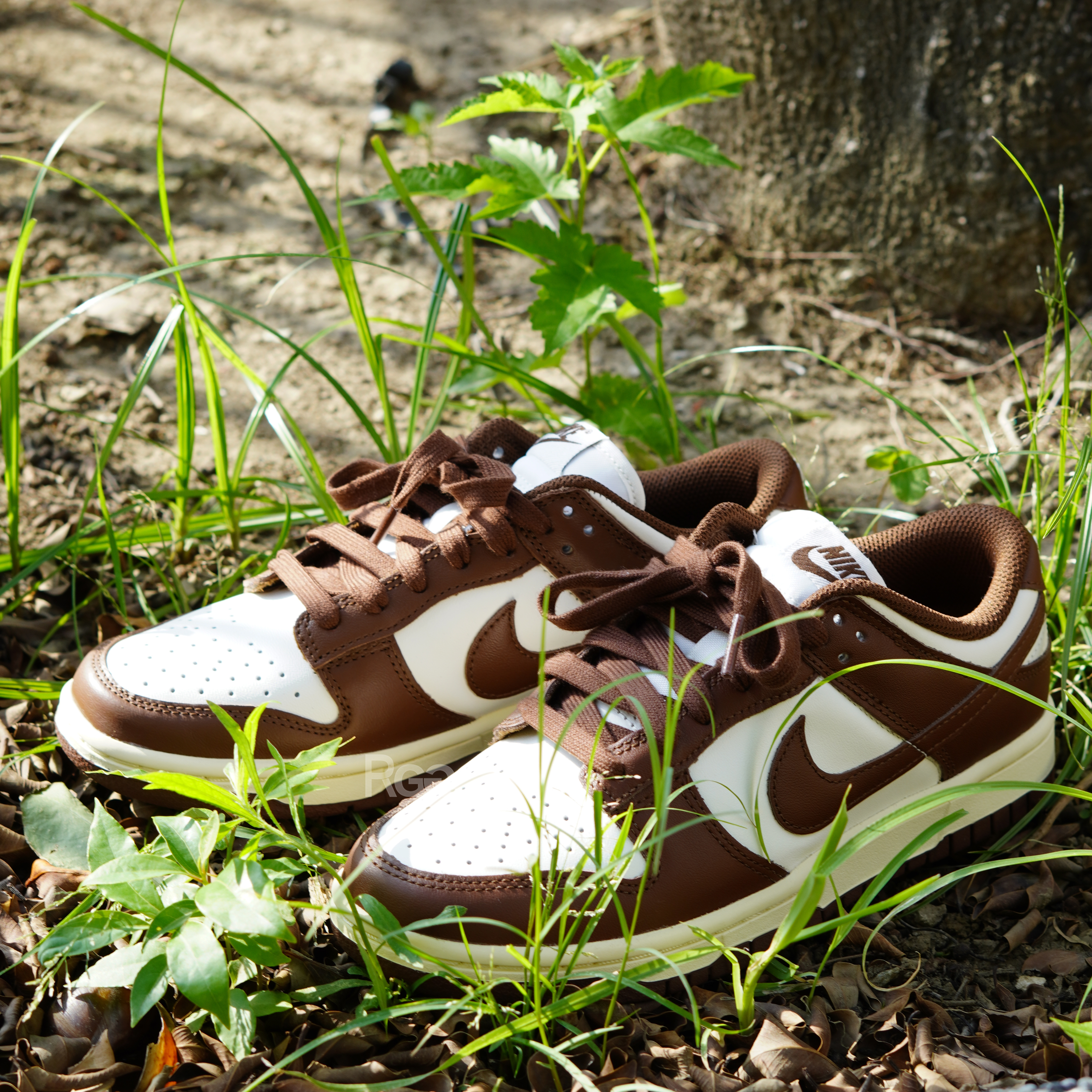 W Nike Dunk Low 奶油摩卡咖啡 (DD1503-124)