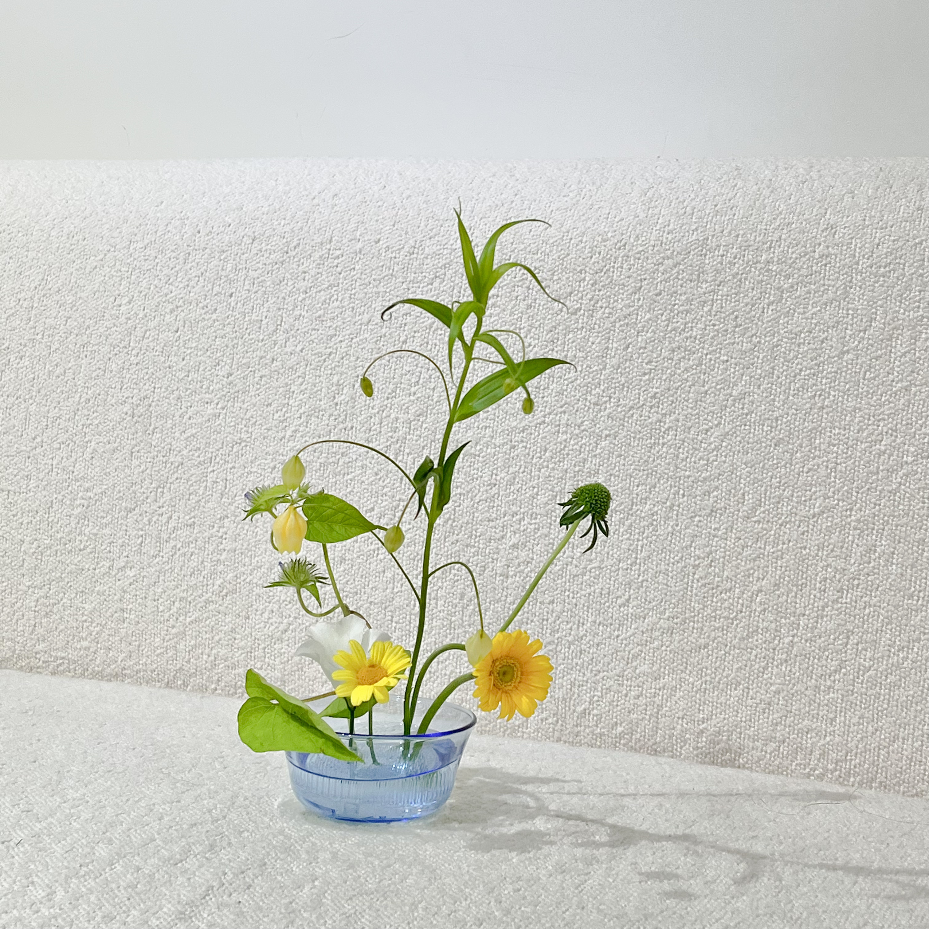 RUNI Select - 進口設計感劍山