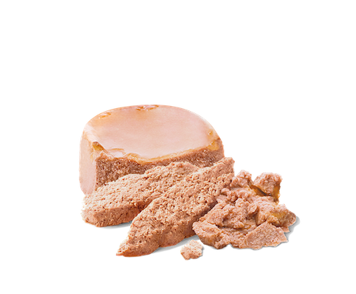 法國皇家 FHN 離乳貓及母貓營養主食罐頭 195G (原箱 12罐)  [粉紅色 BABY罐 ]