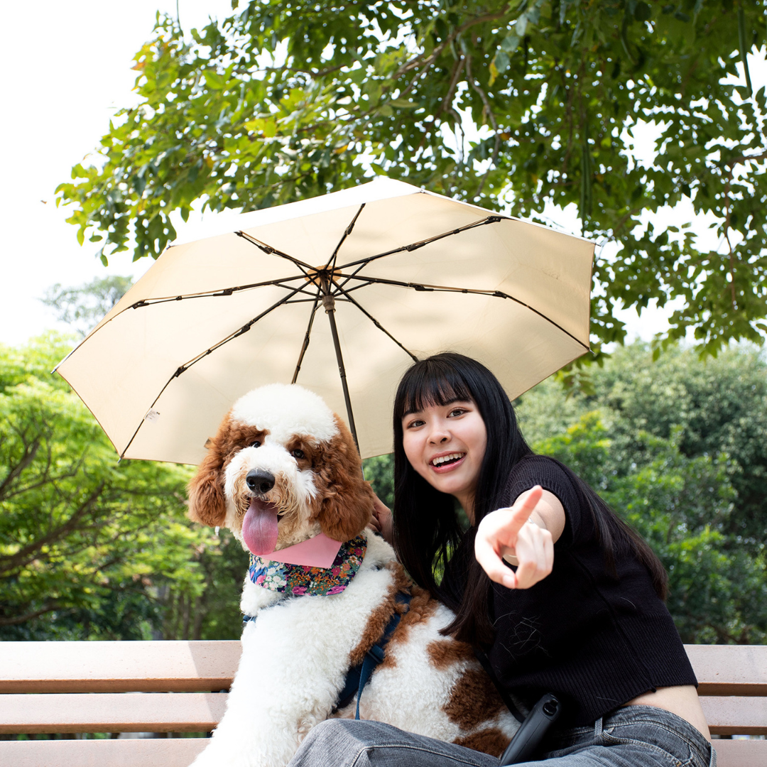 寵物領巾, 貓咪領巾, 狗狗領巾, 狗領巾, 貓領巾