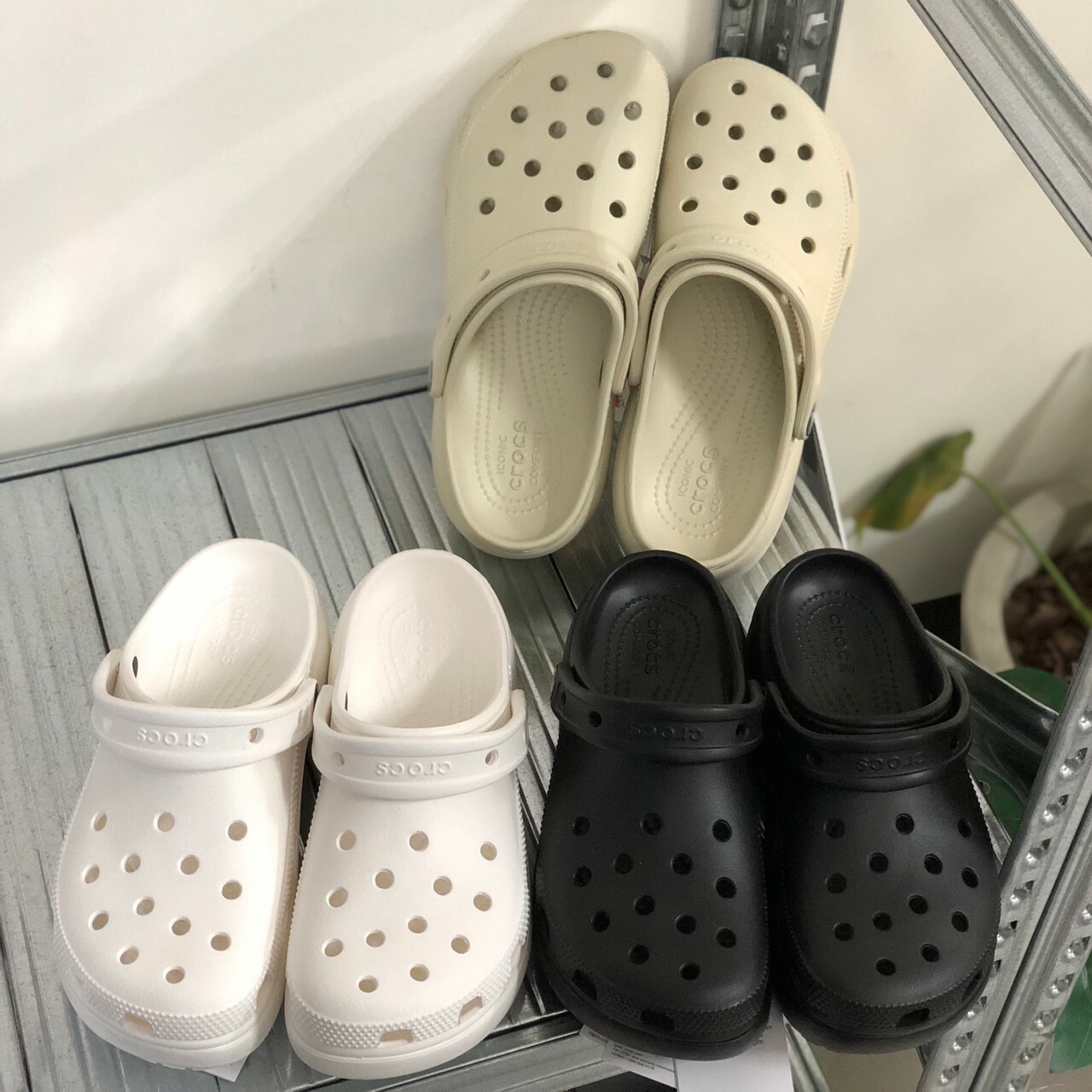 Crocs 卡駱馳 雲朵洞洞鞋 經典厚底款 增高 206750-100