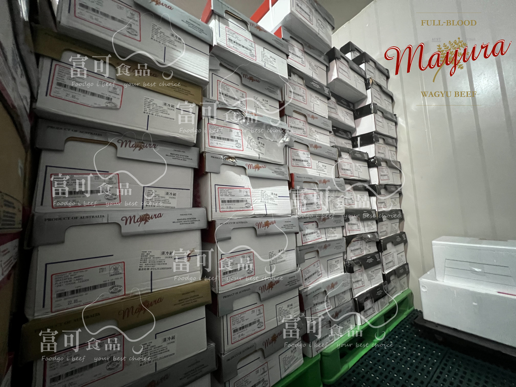 【展示頁面】全台獨家代理．澳洲全血巧克力和牛ＭayuraStation.