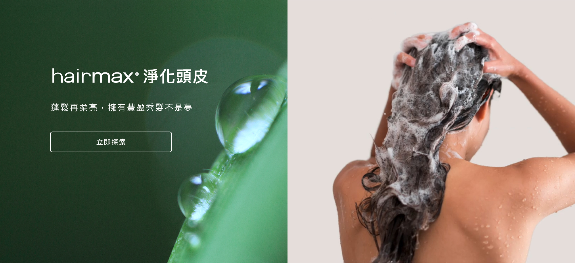 Hairmax｜逆時豐盈完美組