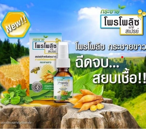 泰國 Propoliz Krachai 薑蜂膠口腔噴劑 15 ml (升級版)