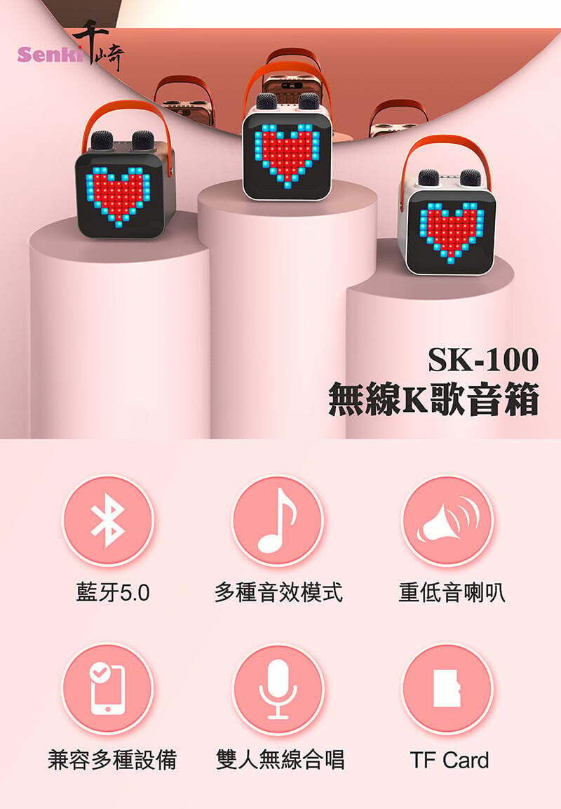 SENKI SK-100 karaoke Speaker