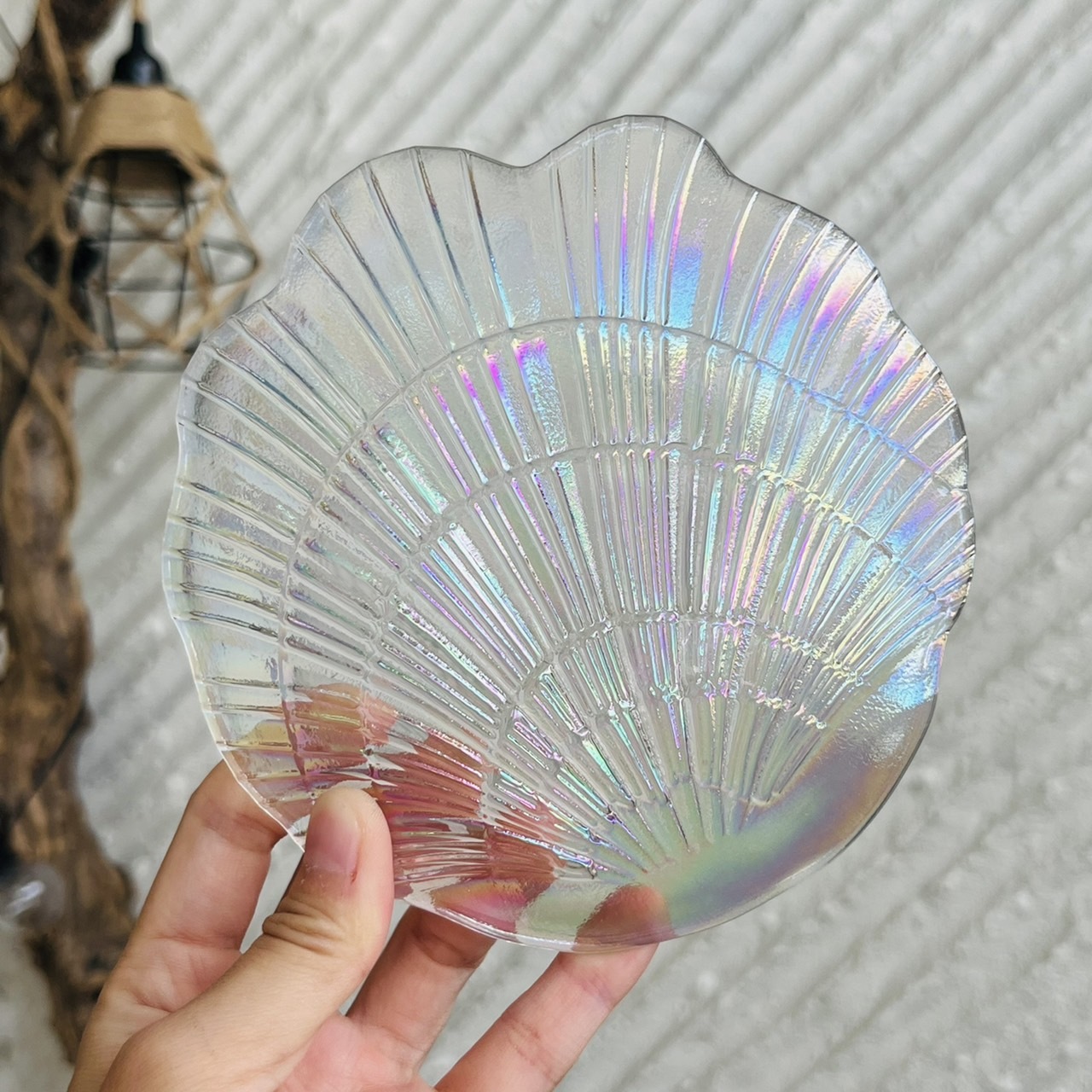 [原石] 鍍彩玻璃貝殼盤 水晶展示盤 水晶淨化盤