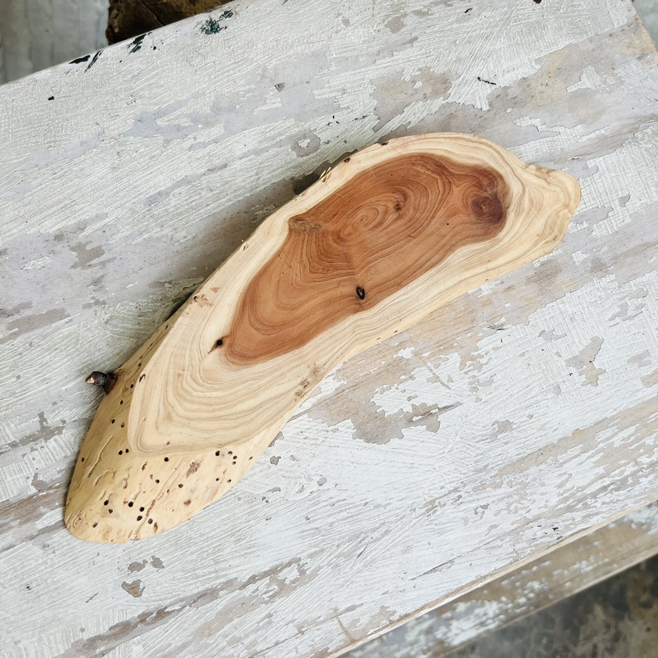 [原石] 龍柏 原木 水晶展示墊