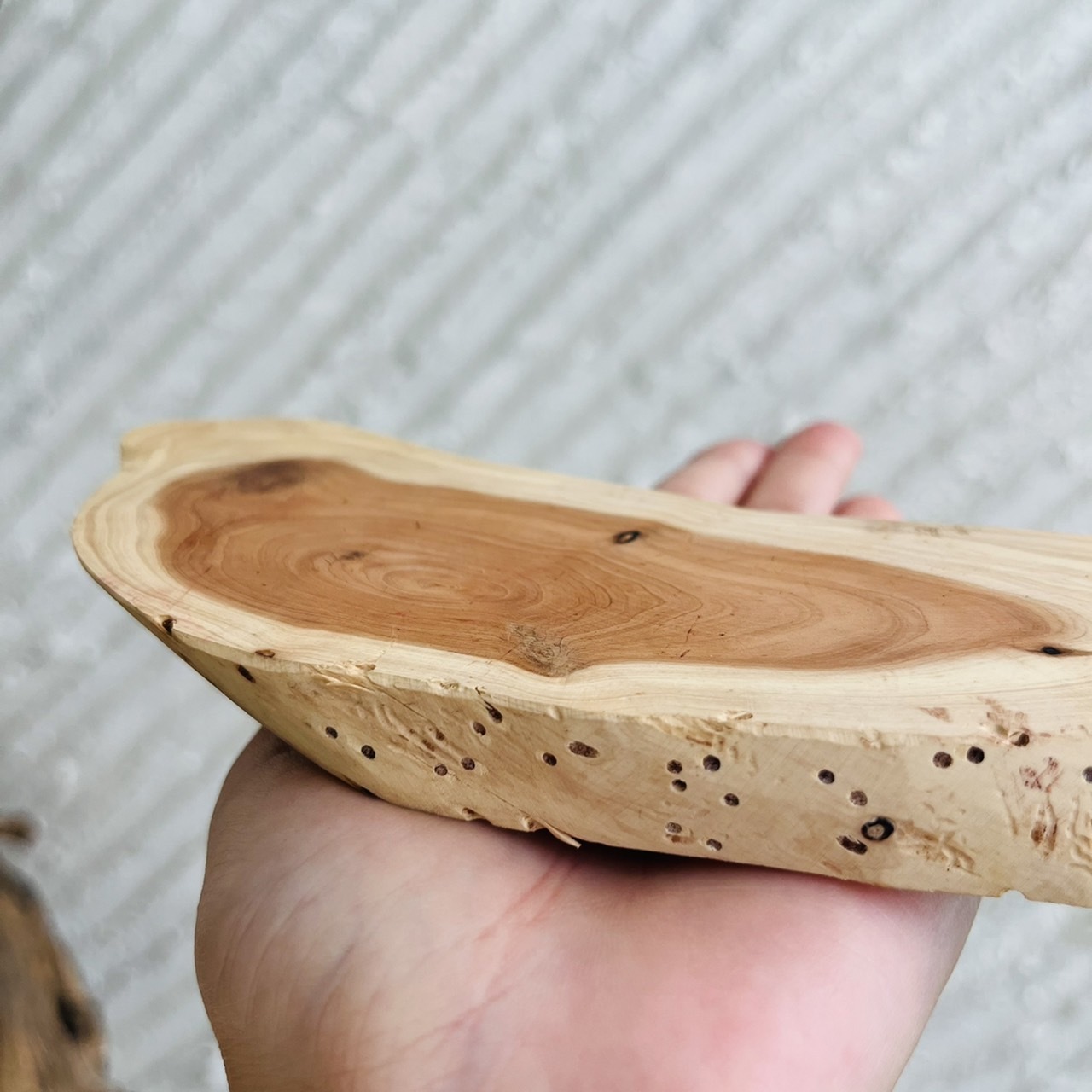 [原石] 龍柏 原木 水晶展示墊