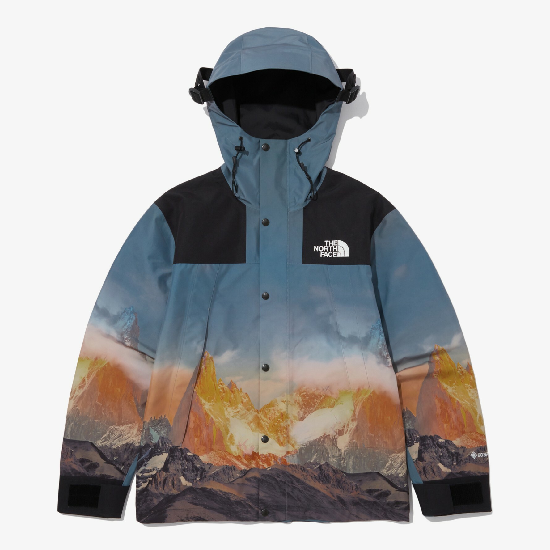THE NORTH FACE GTX MOUNTAIN VISTA JACKET 連帽外套 NJ2GP60