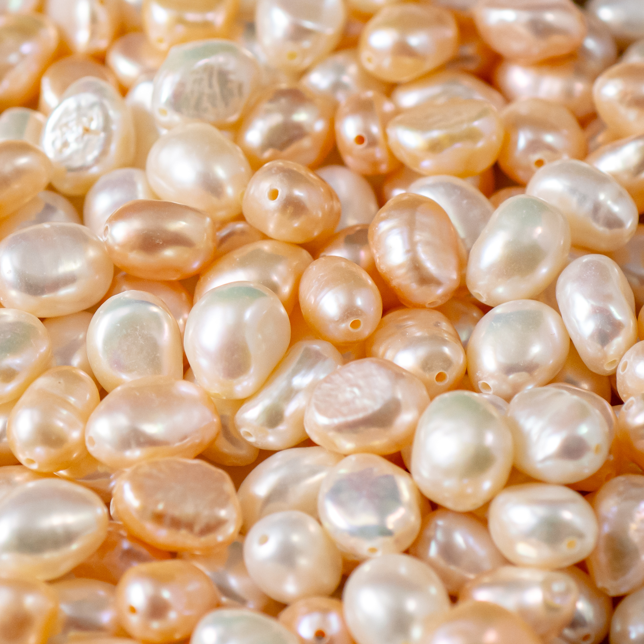 珍珠 Pearl