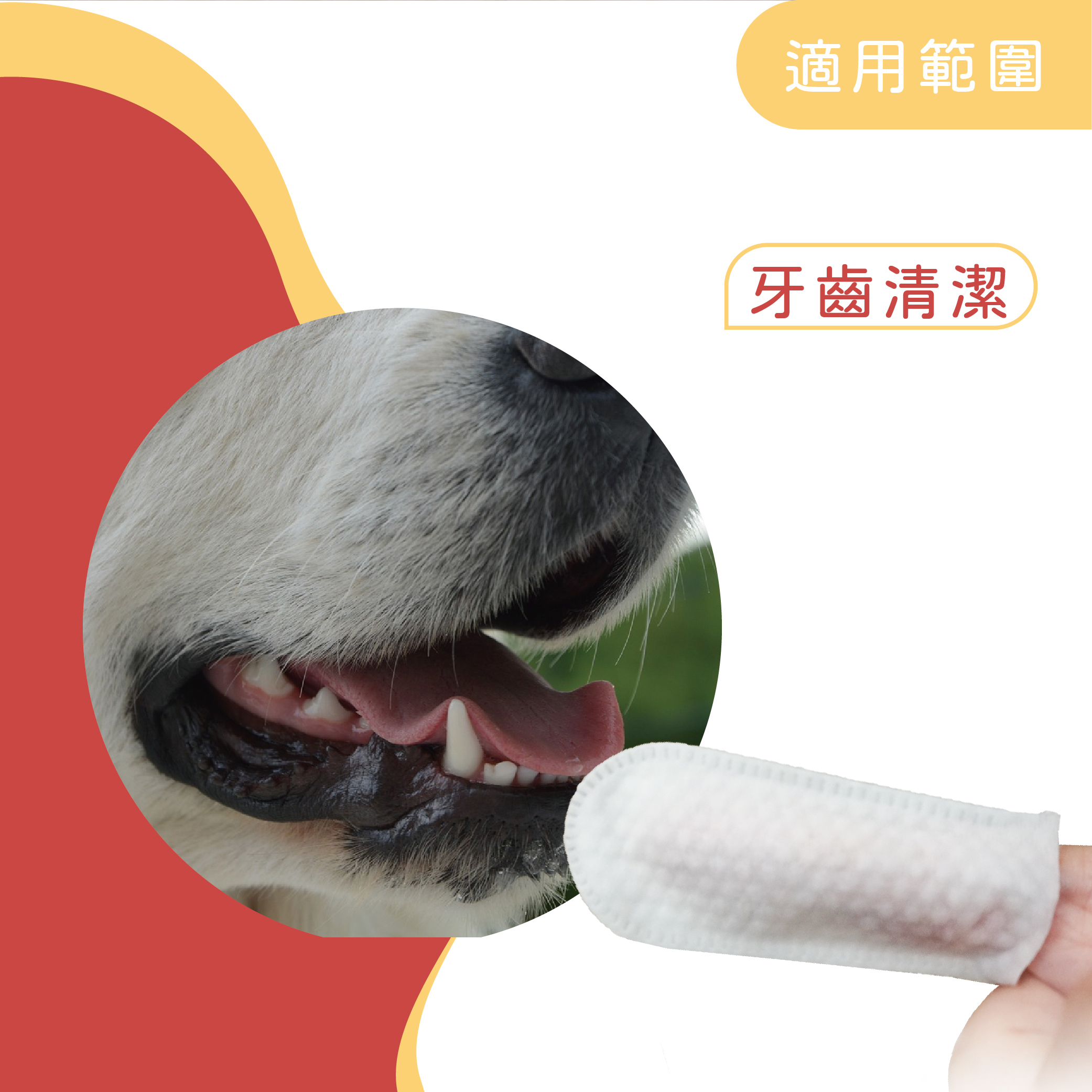寵物潔牙指套 宏瑋寵物
