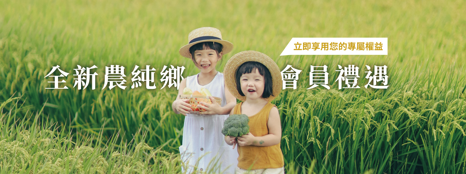 全新農純鄉會員禮遇