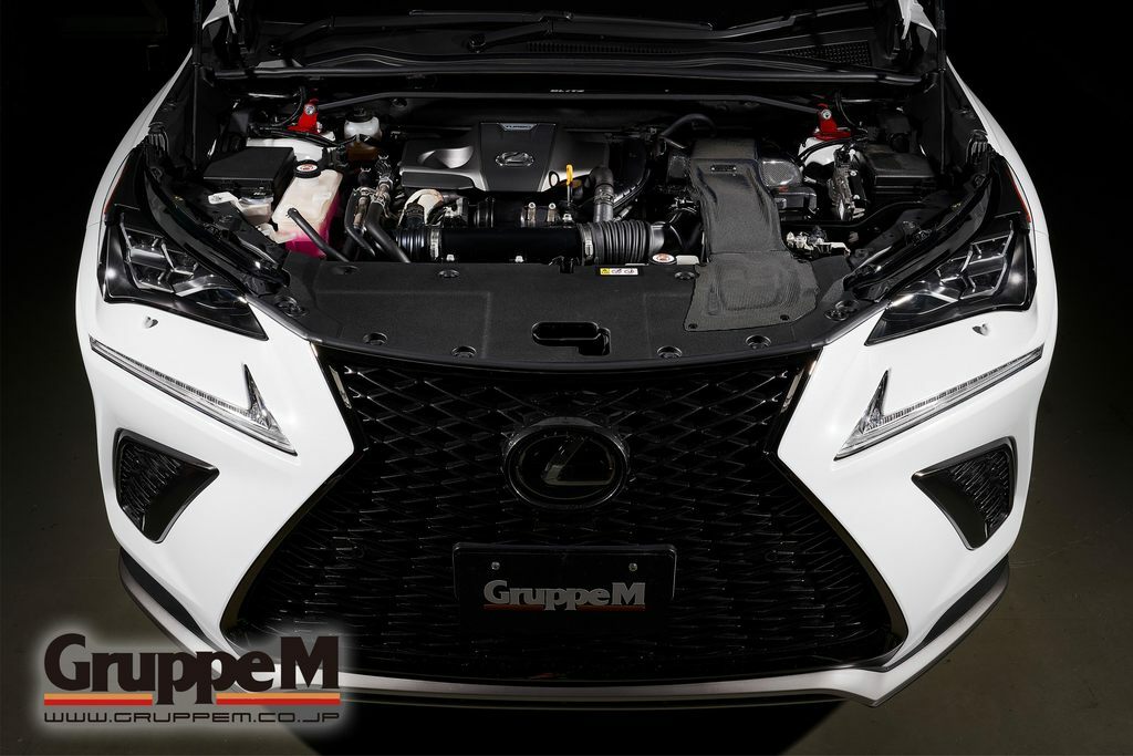 GruppeM RAM AIR SYSTEM CARBON 進氣組 LEXUS NX200t/300 2015-2021