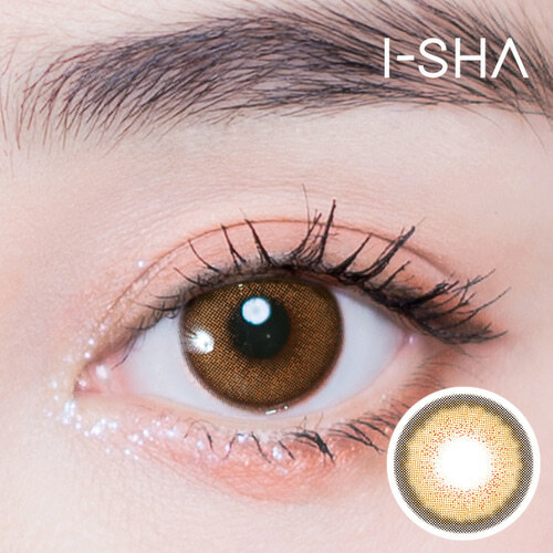 I-SHA Melo Art Year (Almond Brown)(1P)