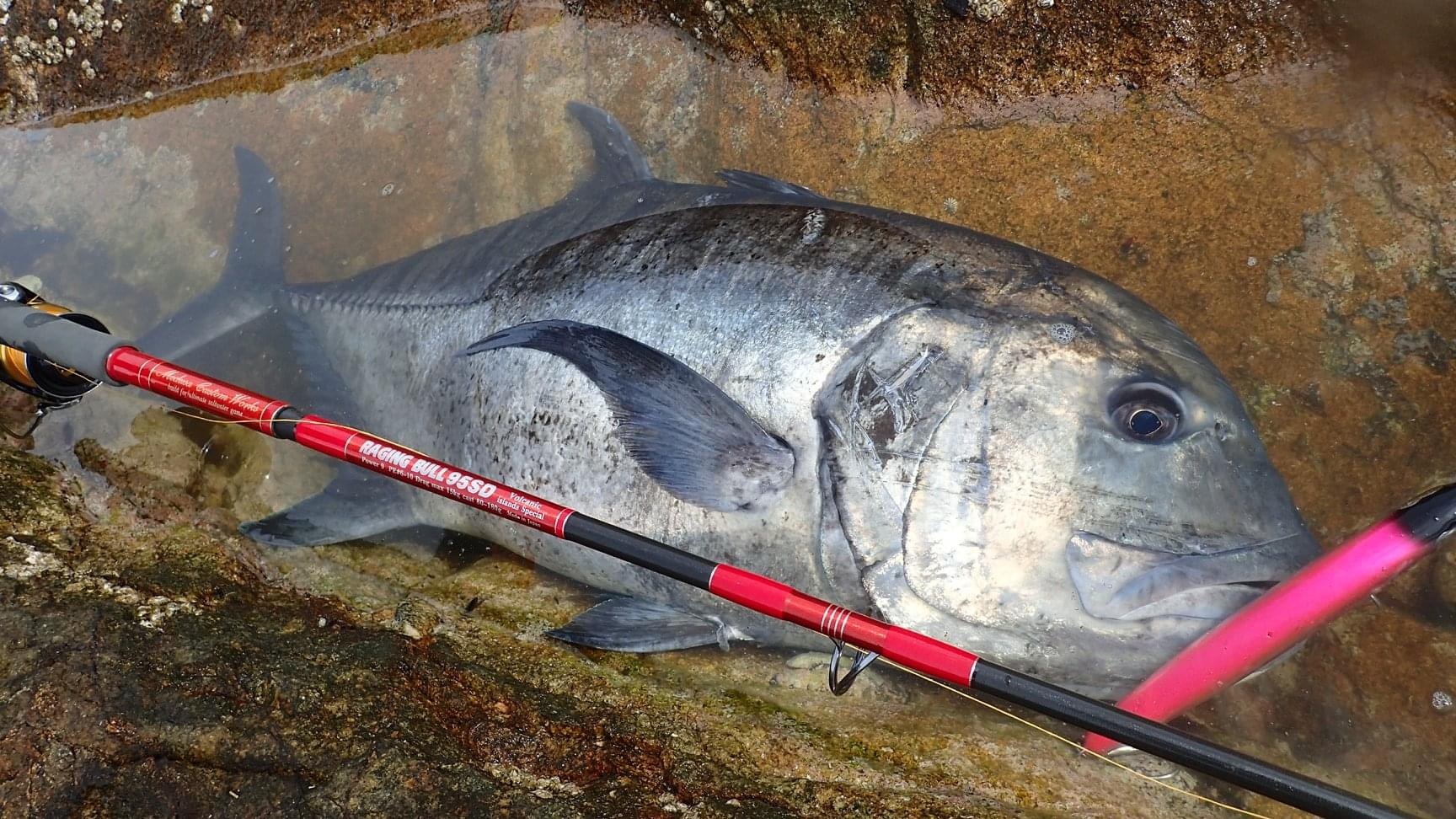 MC WORKS' RAGING BULL 95SD SHORE CASTING ROD