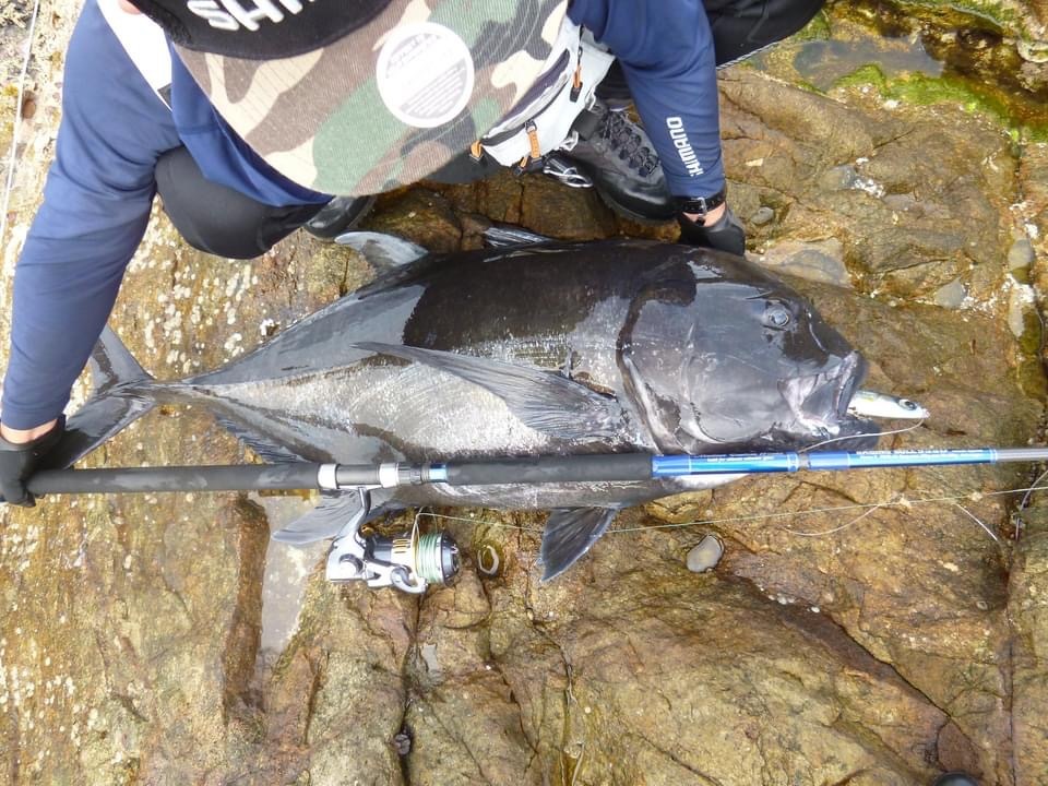 MC WORKS' RAGING BULL 95SD SHORE CASTING ROD