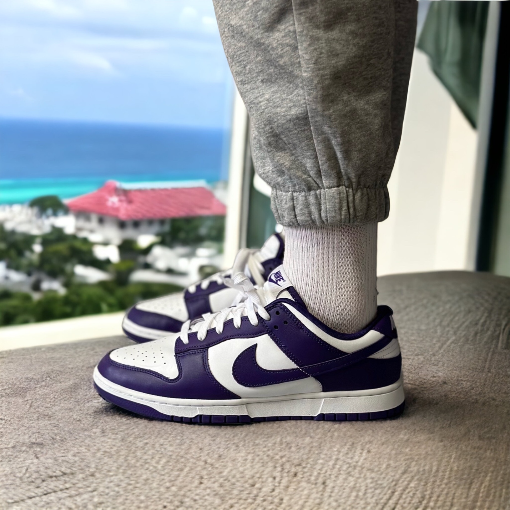 Nike dunk low 白紫配色 紫葡萄🍇 現貨 當天寄出 (DD1391-104)