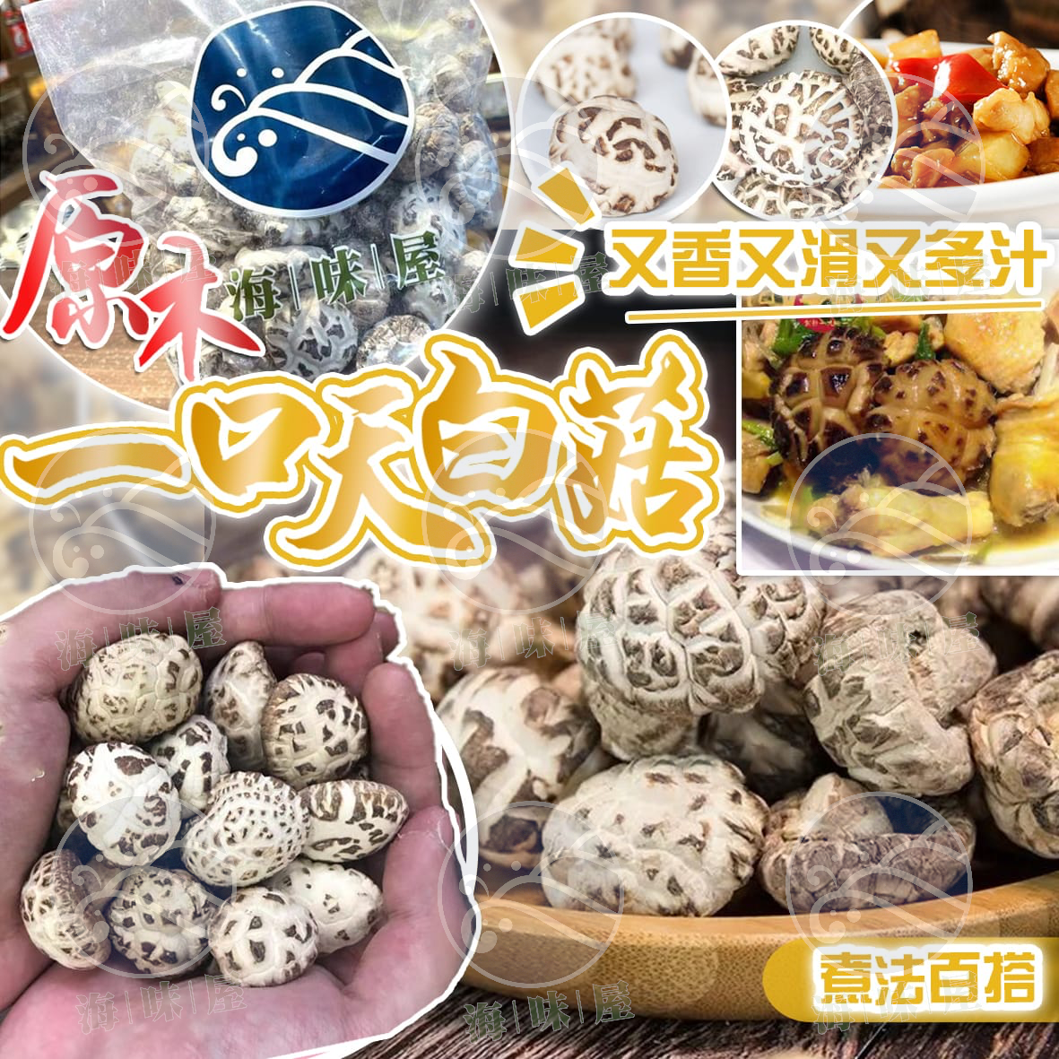 原木一口天白菇