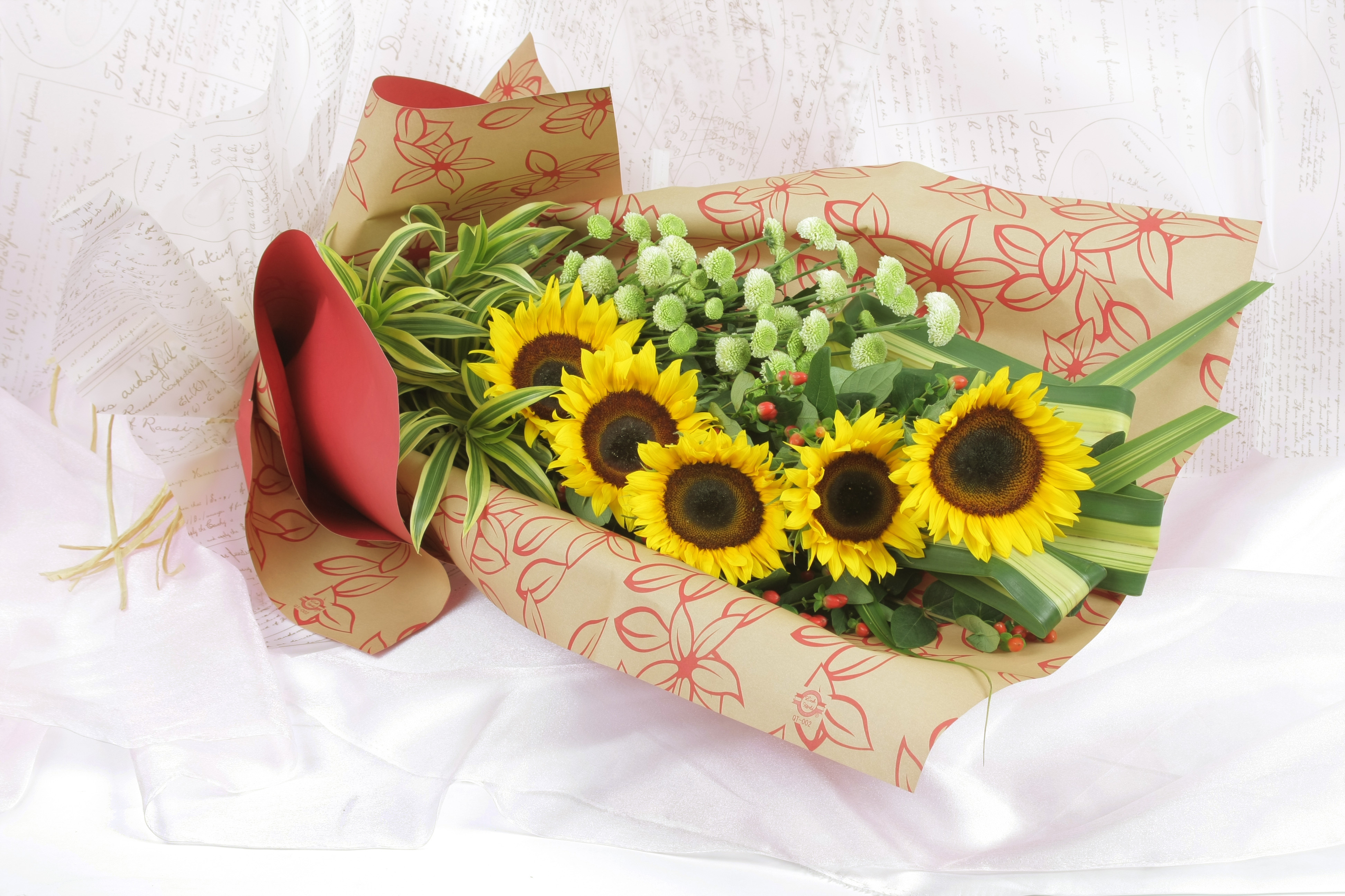 Hhb39  member discount