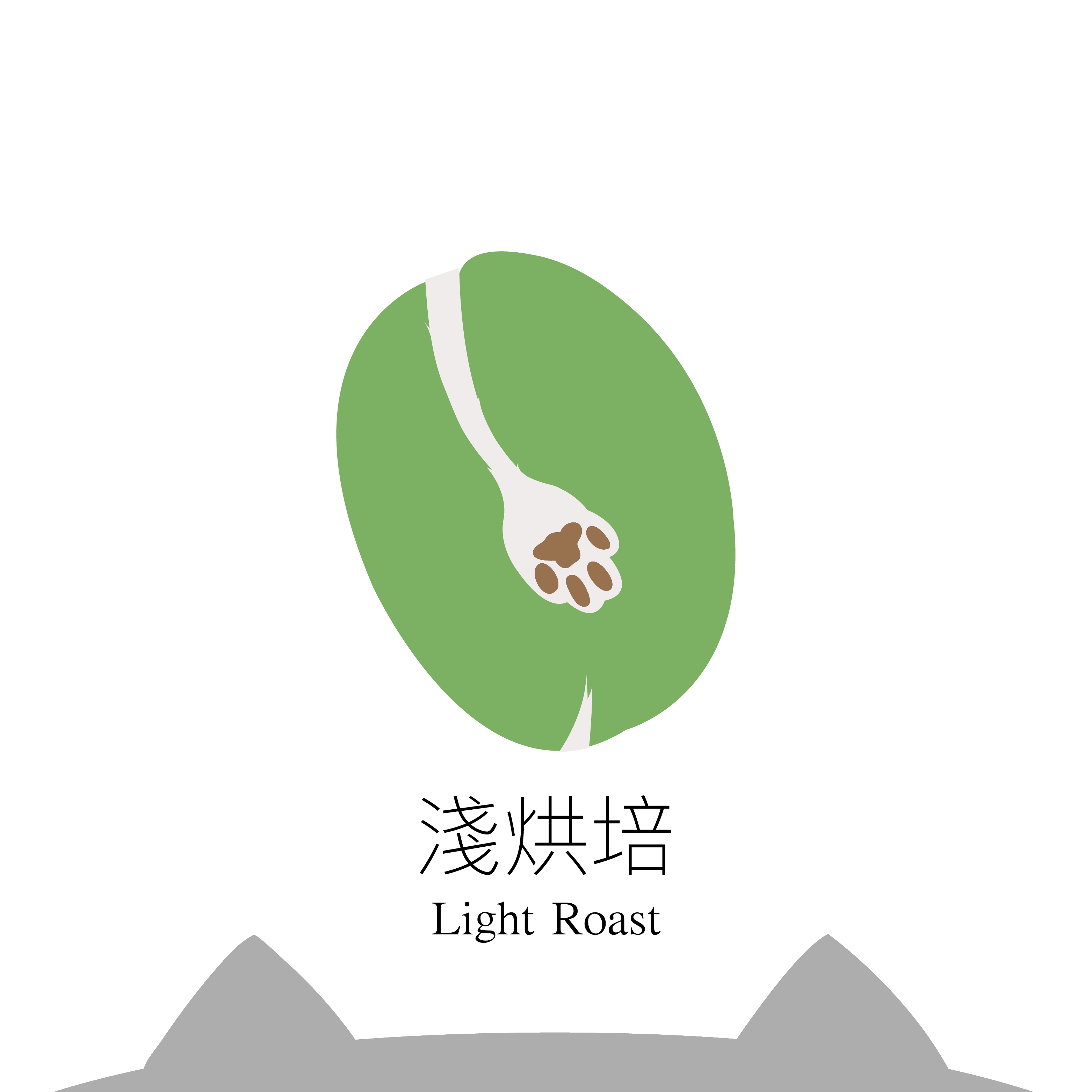 【咖啡豆】哥斯大黎加 卡內特 音樂家系列 巴哈 (淺烘焙/黃金烘焙/中深烘焙)