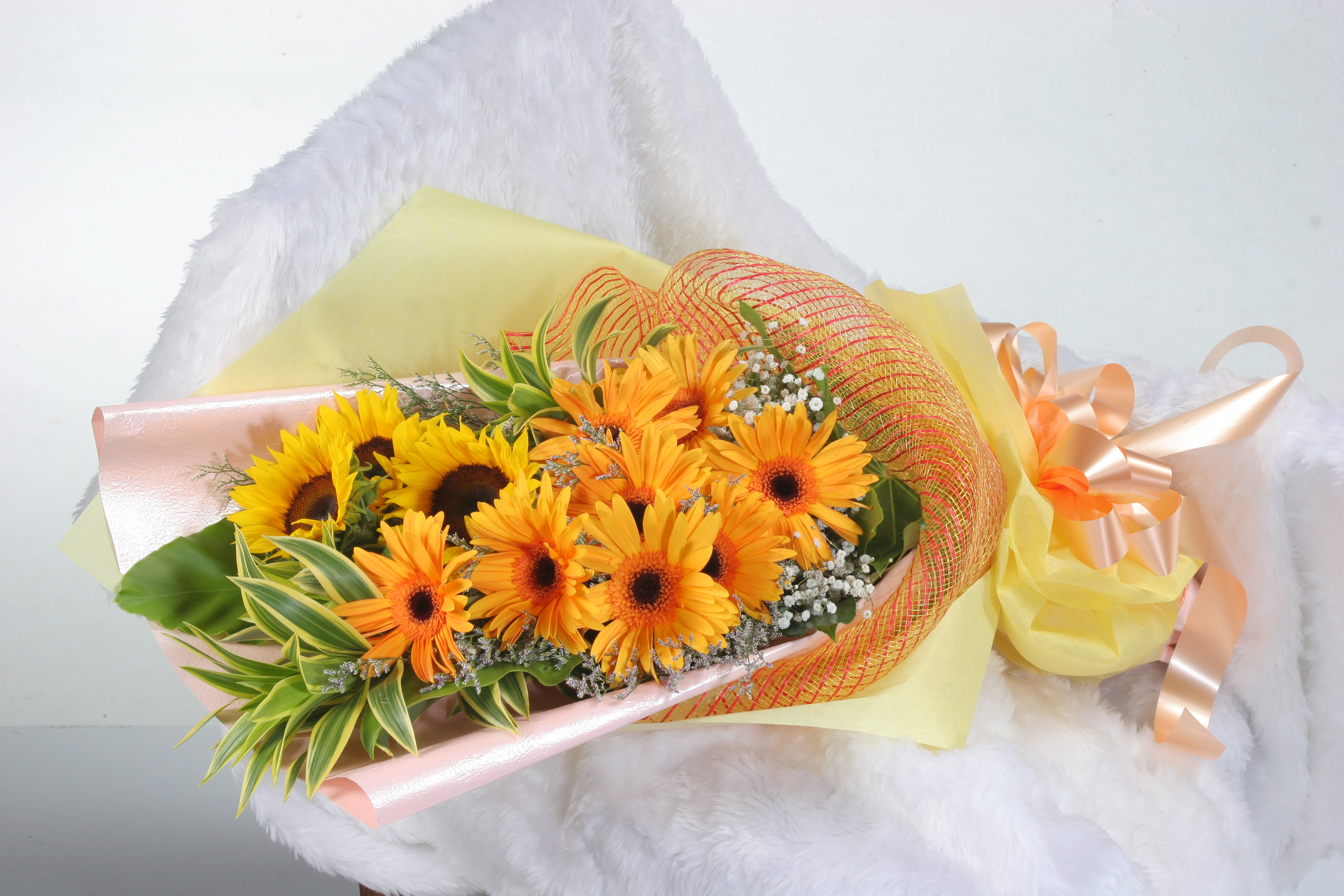 HHB40 ⭐⭐⭐⭐⭐member discount