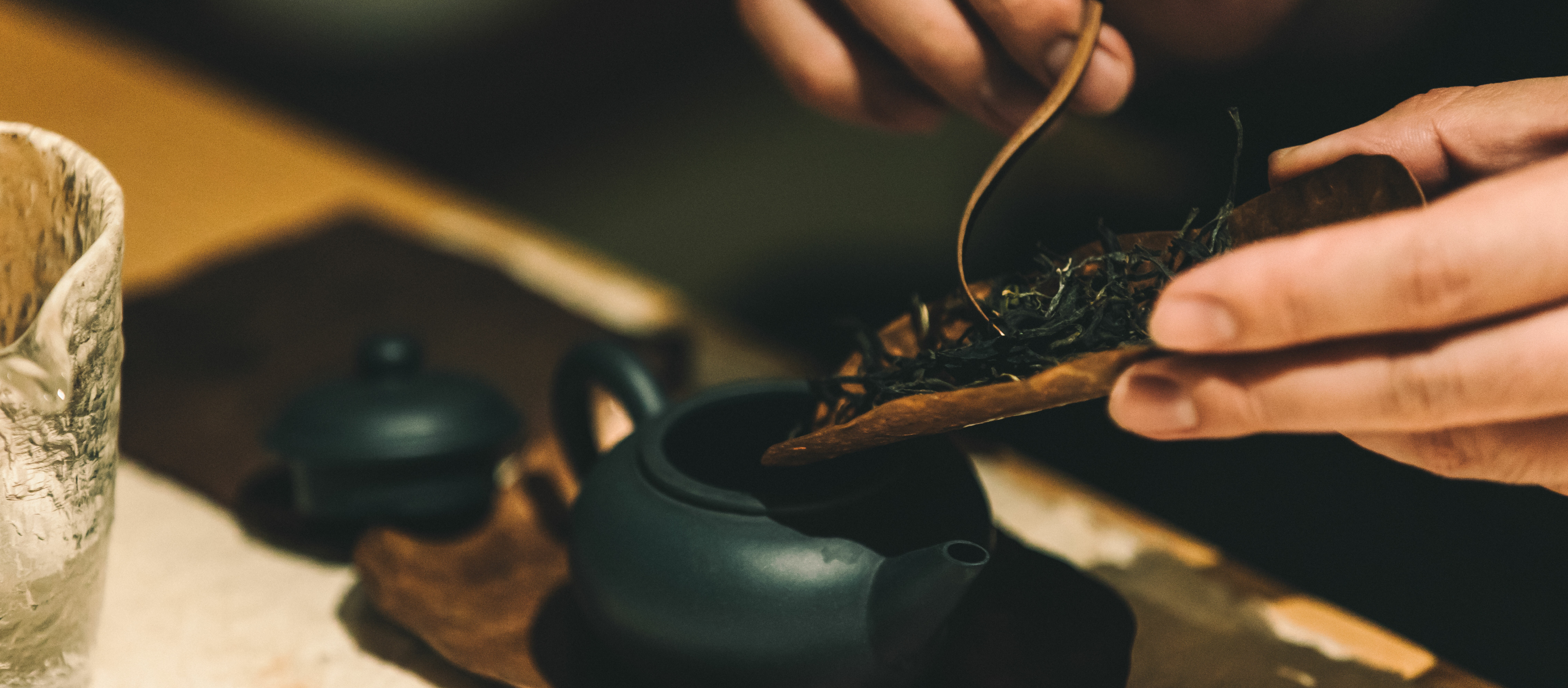 遊採茶與VITABOX團隊感受天然好茶