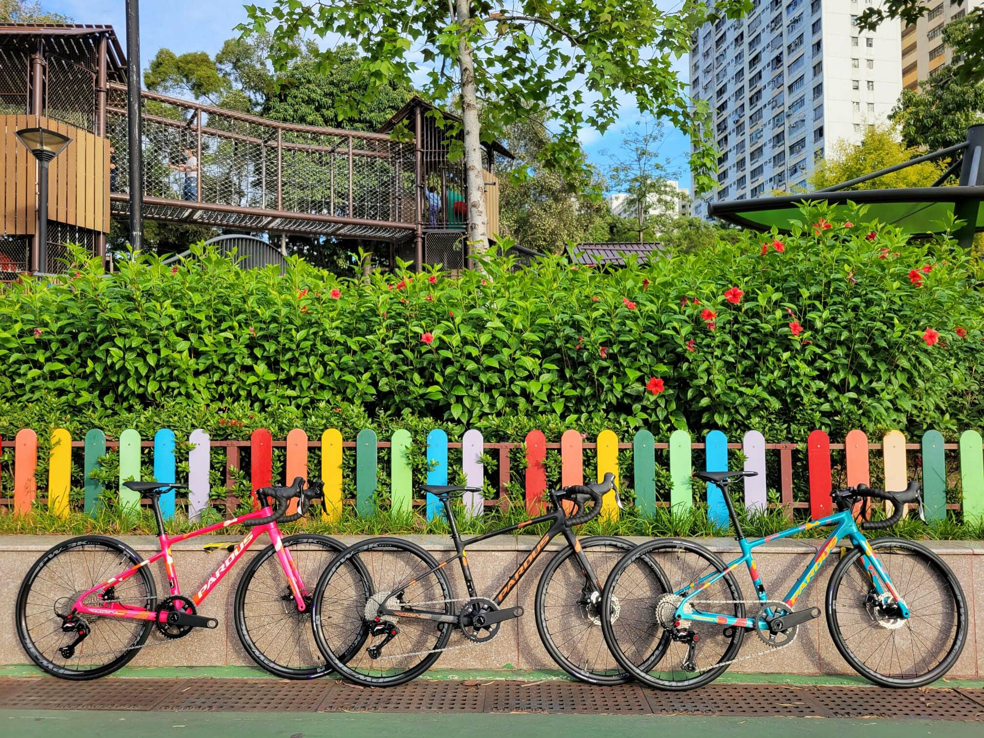 瑞豹Pardus Robin Kids Disc 青少年碳纖維公路車