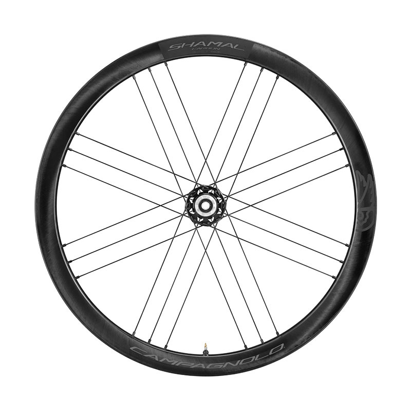 Campagnolo Shamal Carbon C21 碟煞碳纖維輪組