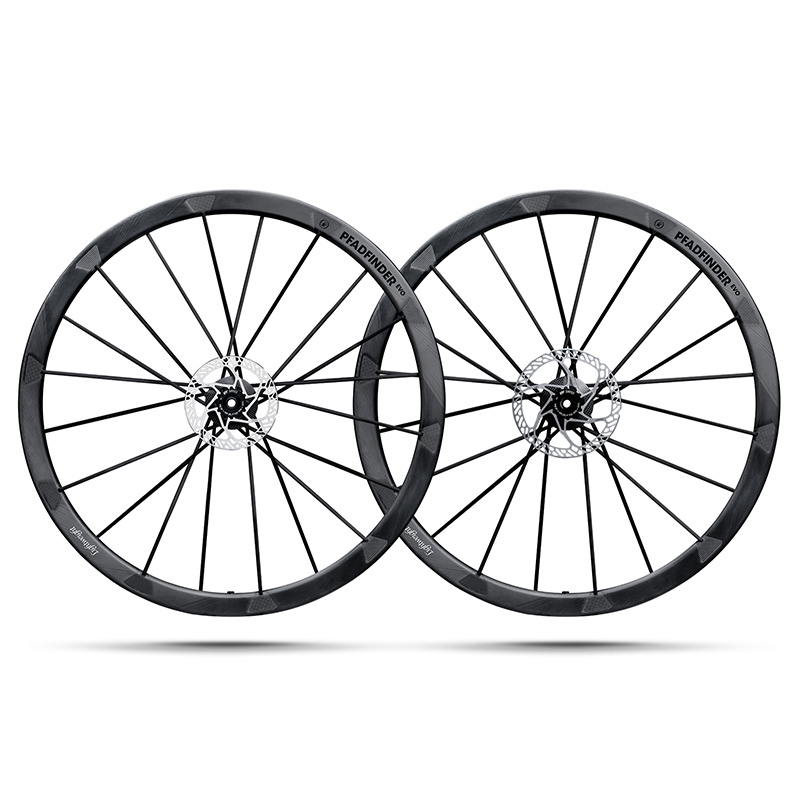 Lightweight Pfadfinder EVO 全地形公路碟煞輪組