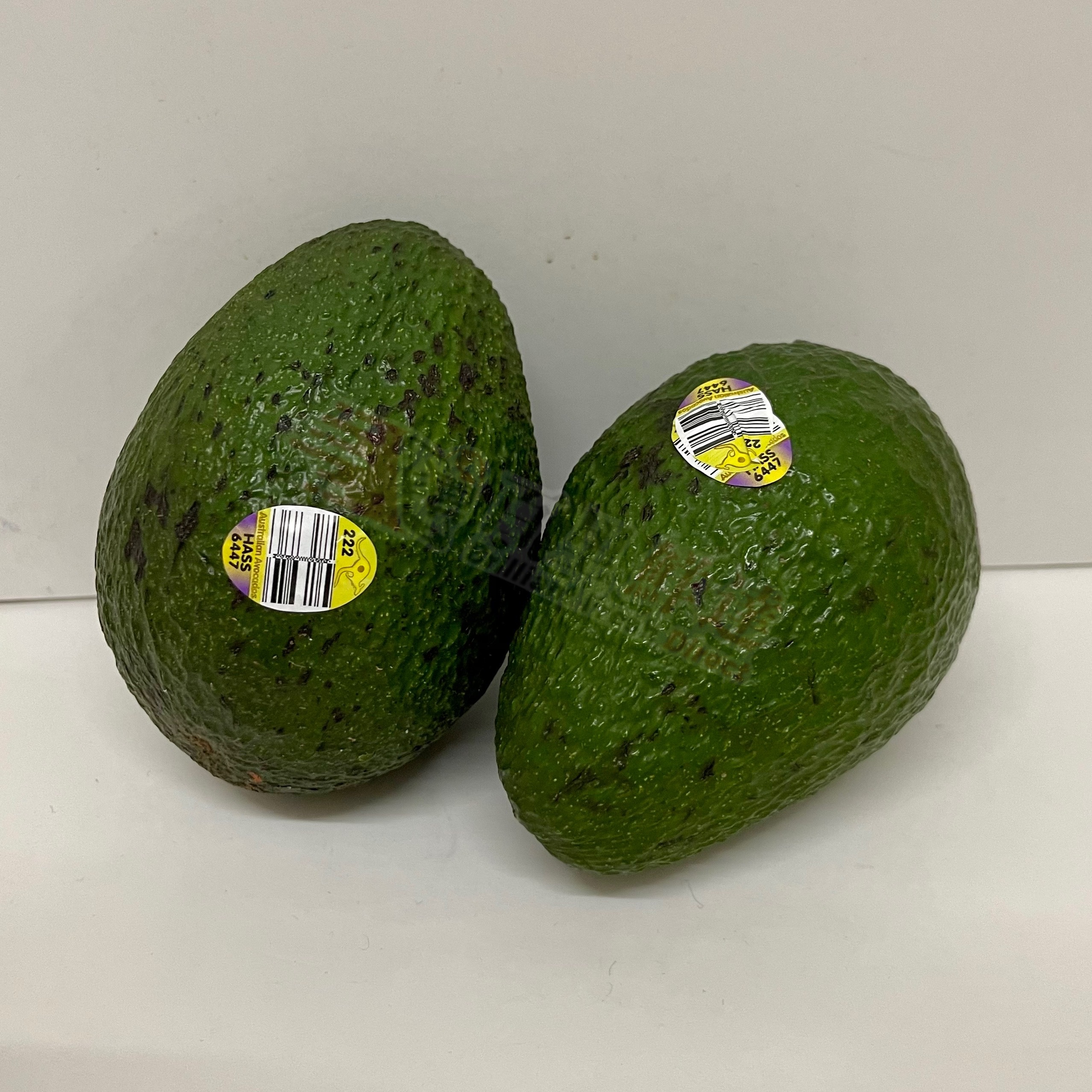 Hass 牛油果 (四隻)