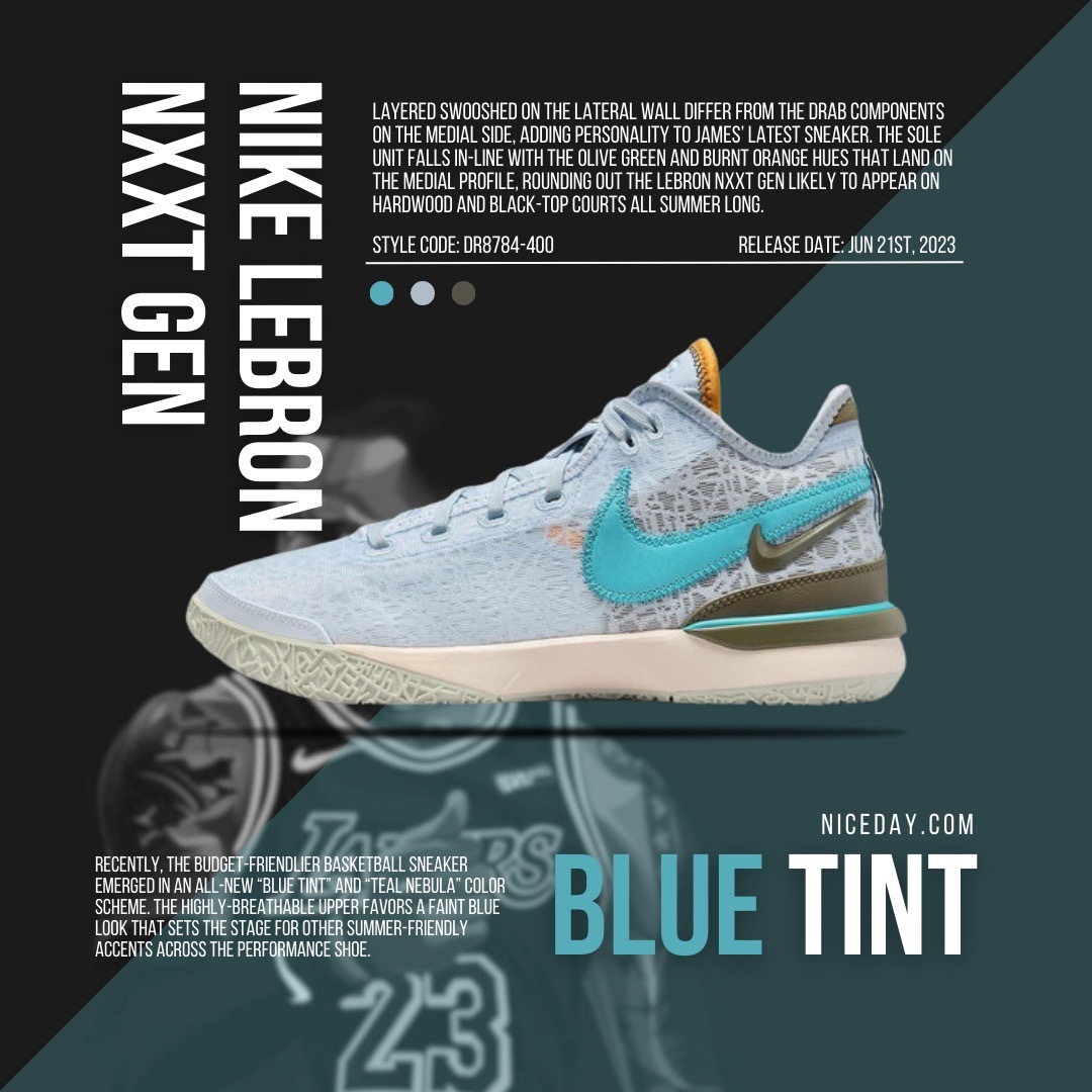 NICEDAY 現貨Nike Zoom LeBron Nxxt Gen 勒布朗藍白實戰籃球鞋小