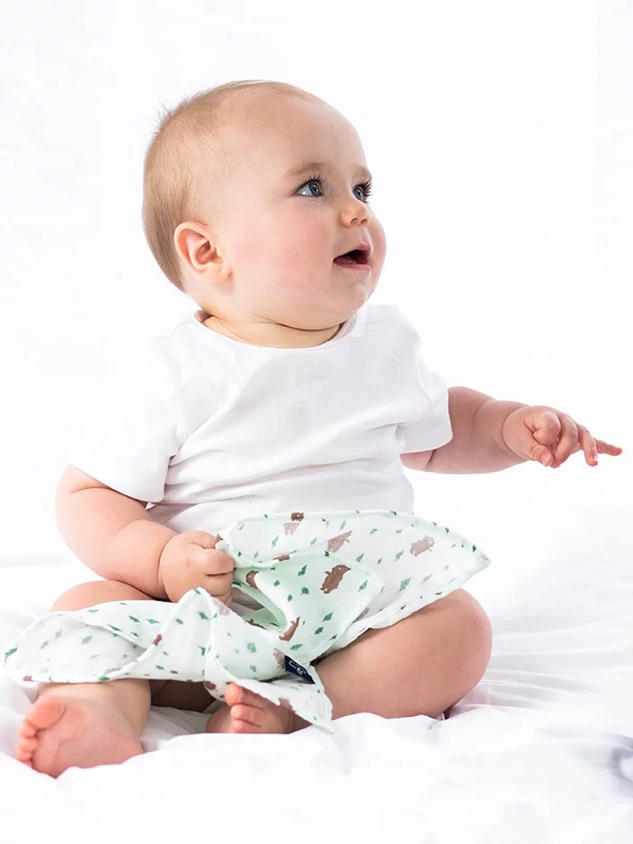 Organic B 有機棉方巾組-小熊森林家