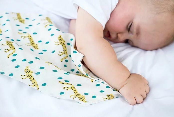 Organic B 有機棉方巾組-豹的叢林圓舞