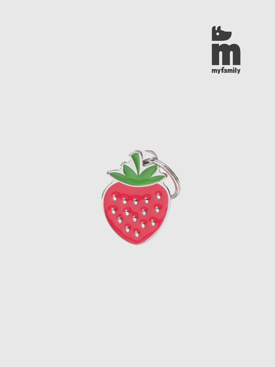 【澳洲EZYDOG】MyFamily客製名牌 食物系列｜草莓