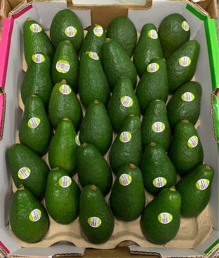 澳洲 Hass 牛油果 (一箱)