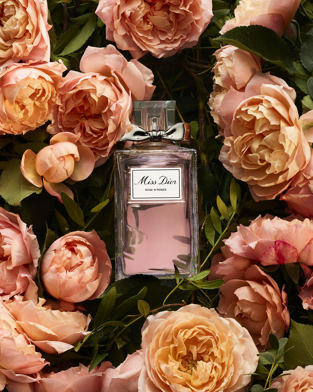 漫舞玫瑰女性淡香水