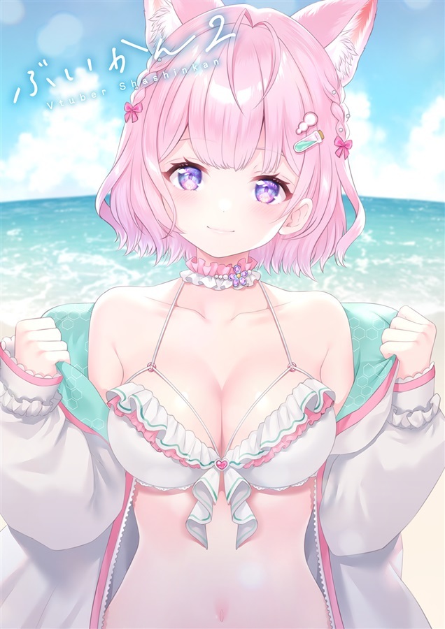 C102「同人代購」つきもち屋 - ぶいかん2