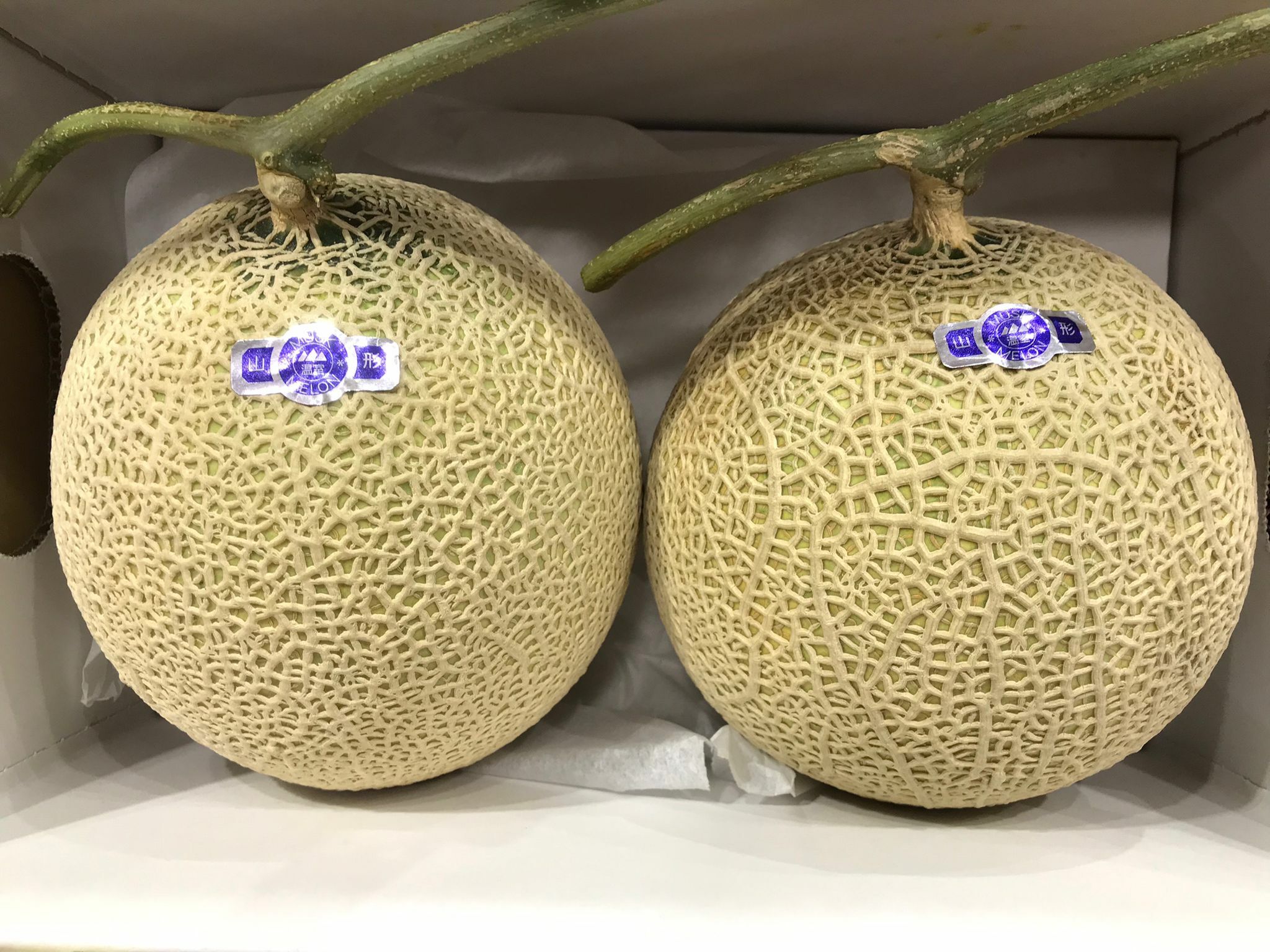 Bless -fruit-日本山形蜜瓜