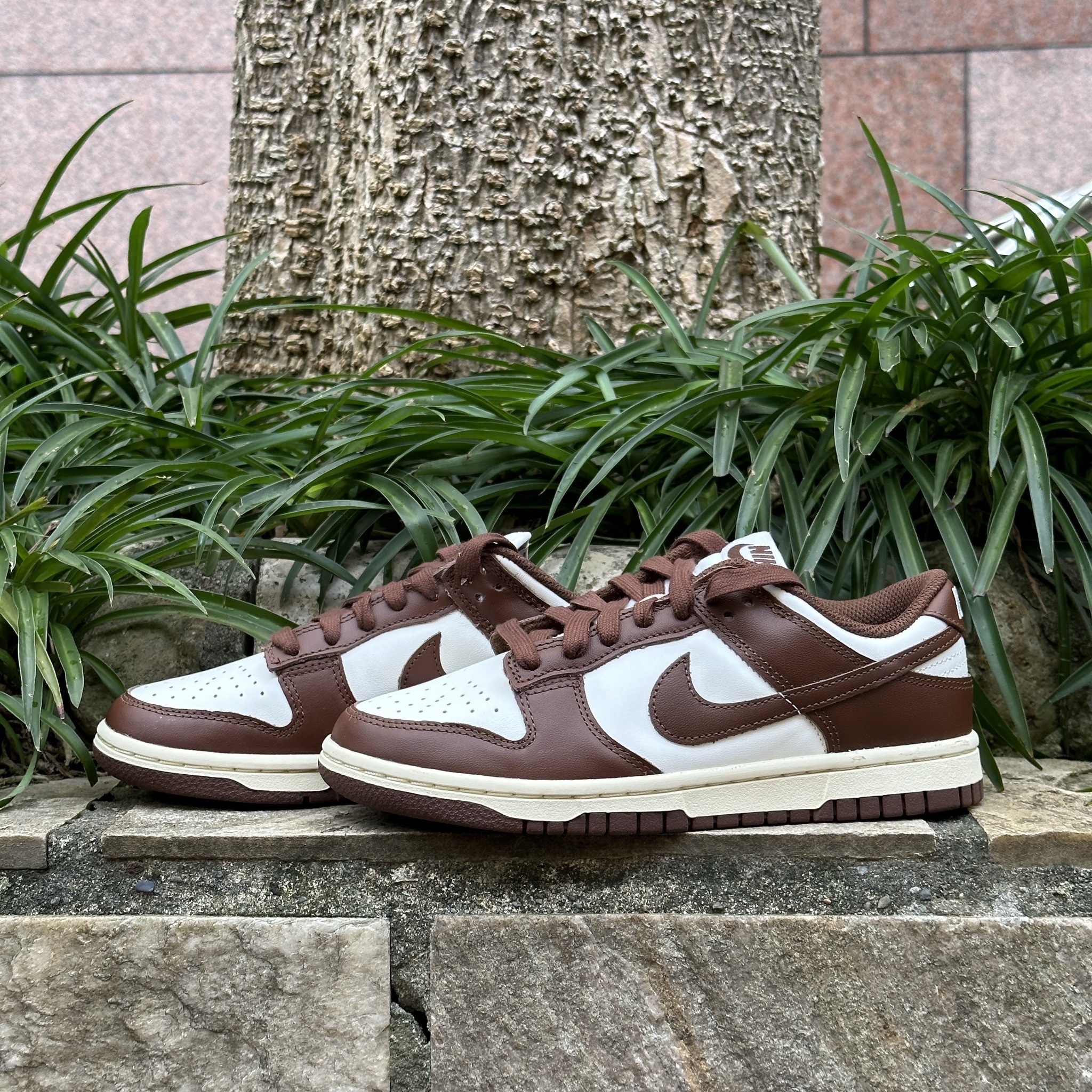 Nike WMNS Dunk Low Brown Sail 摩卡 可可 棕 女鞋 DD1503-124
