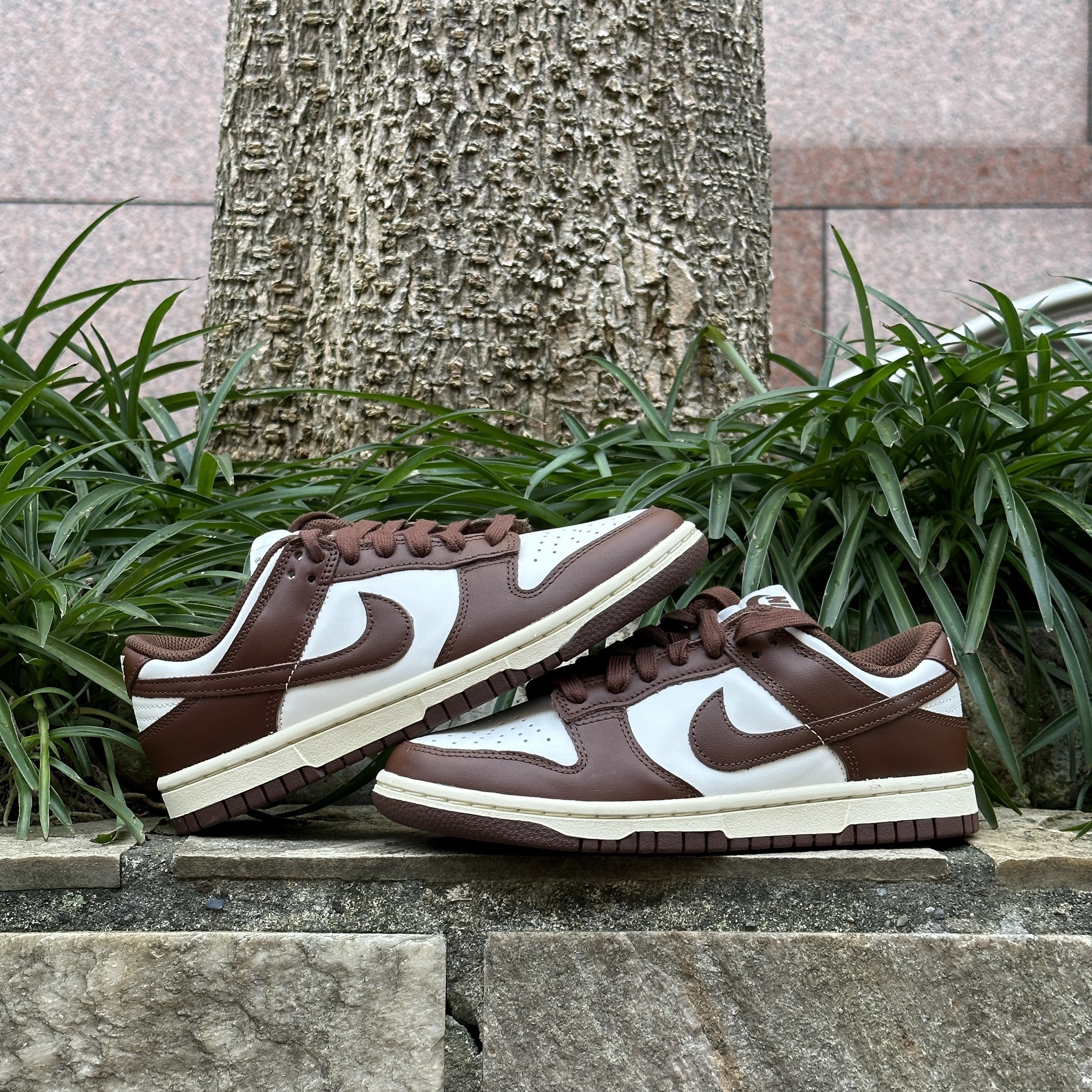 Nike WMNS Dunk Low Brown Sail 摩卡 可可 棕 女鞋 DD1503-124