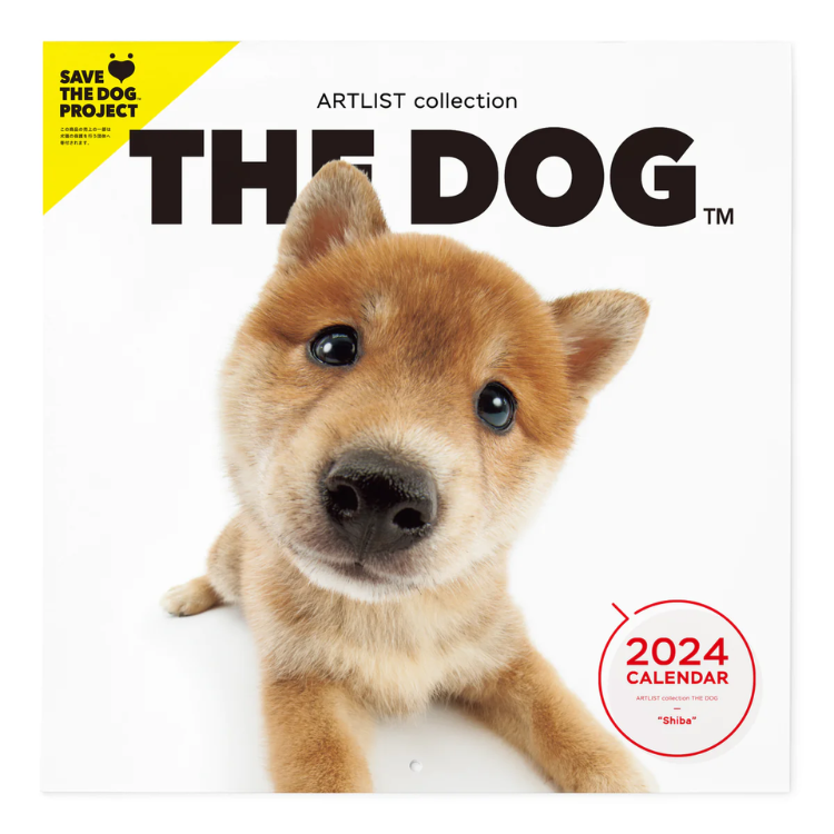 THE DOG 2024 Rabbit   Original 