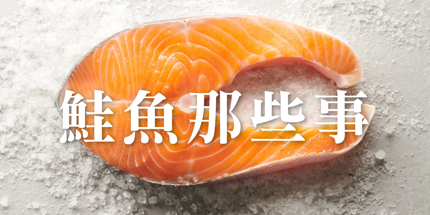 鮭魚那些事