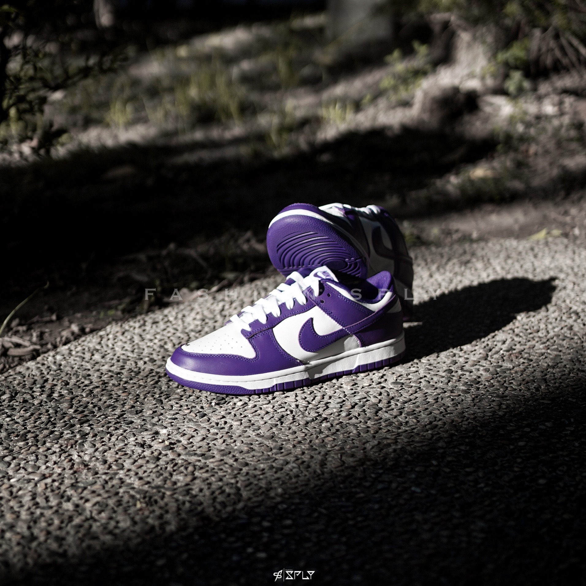 Nike Dunk Low Court Purple 白紫DD1391-104