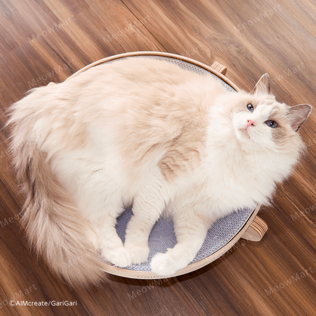 日本Gari Gari 圓形貓抓窩