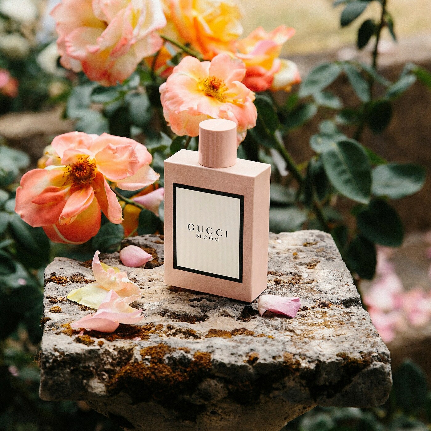 GUCCI BLOOM 花悅女性淡香精 5ml
