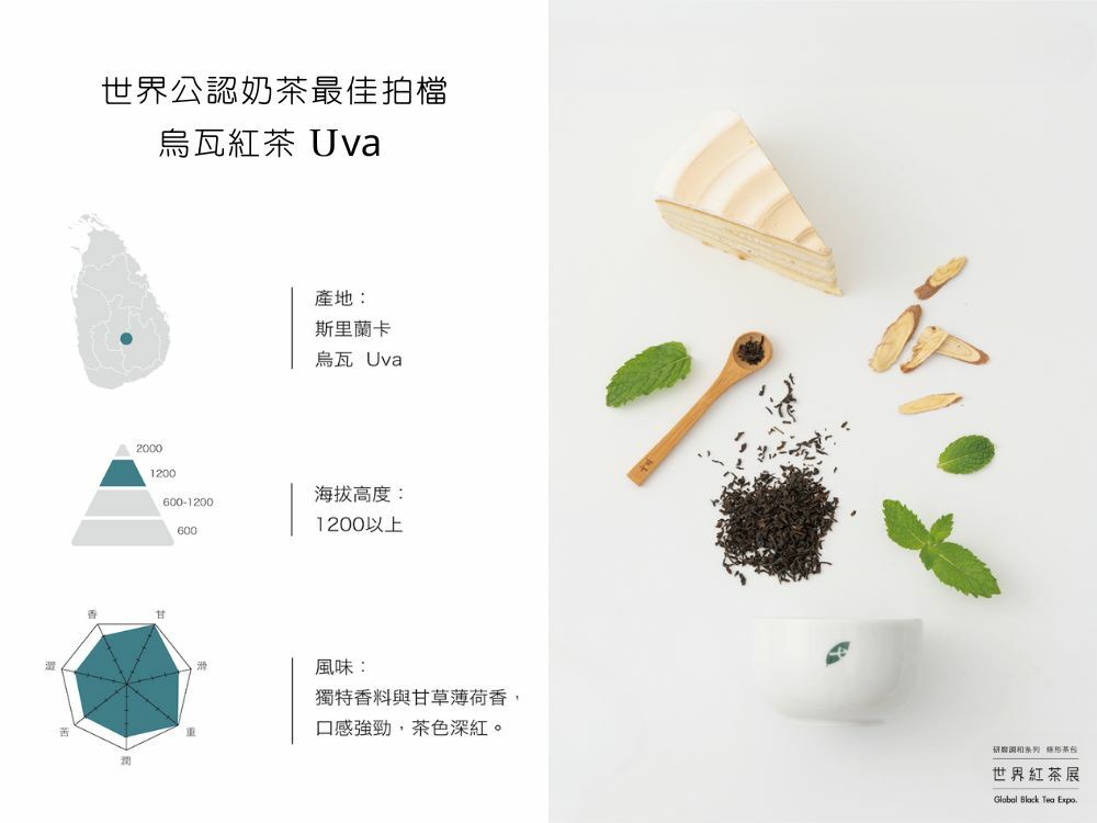 世界公認的奶茶最佳拍檔 烏瓦紅茶 Uva /七三研磨茶包