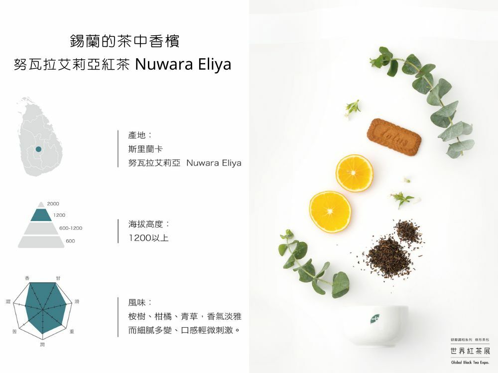 錫蘭的茶中香檳寶石 盧胡娜紅茶 Ruhaua /七三研磨茶包