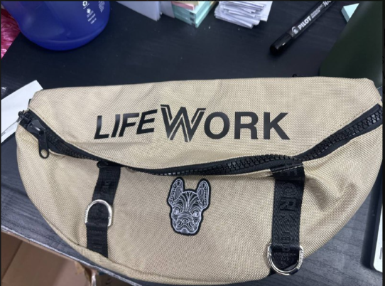 [S] LIFEWORK LADOK D RING WAISTBACK,BEIGE, LW245BG20110F (SLW269)