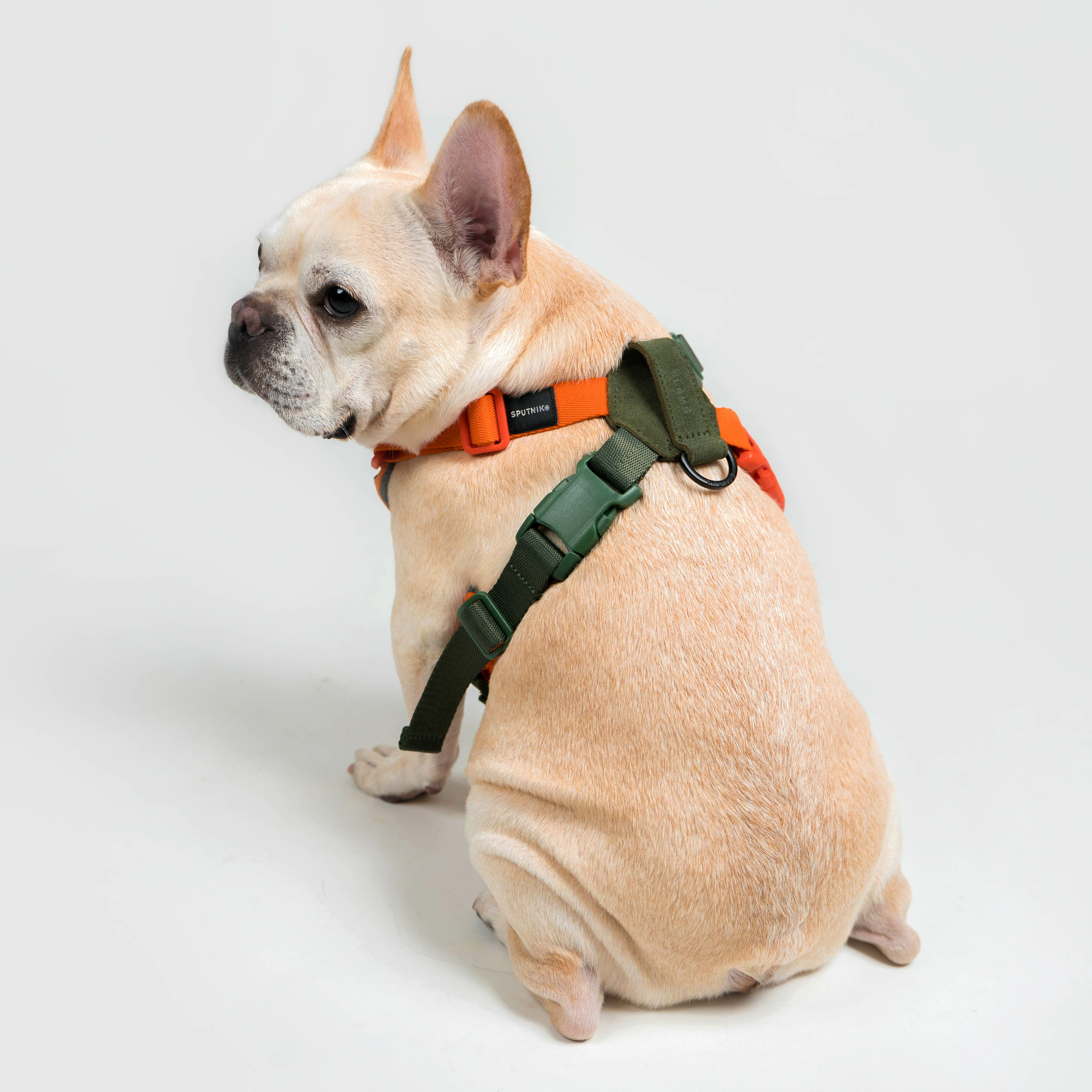 BEAMS 聯名︱胸背帶